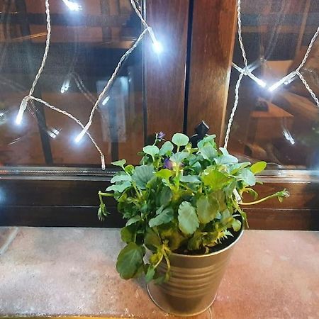 Apartamento Sefardi, Barrio Judio De Hervás Екстериор снимка